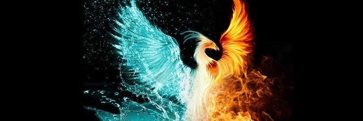 Merve Çubuktepe banner