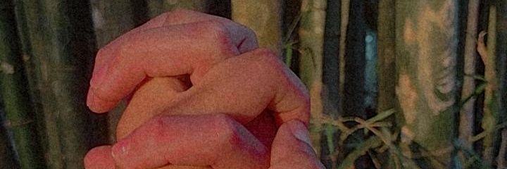 eu_olucasjaco's profile banner image