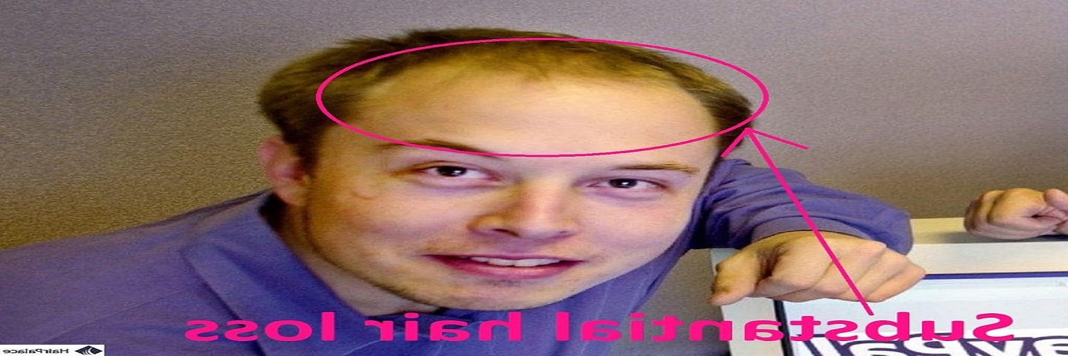 LoxyBunny's profile banner image