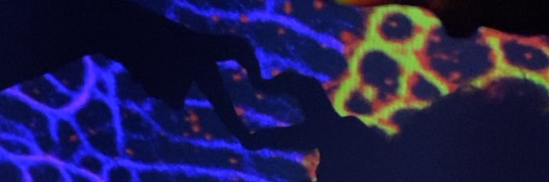 DarkKnightsLike's profile banner image