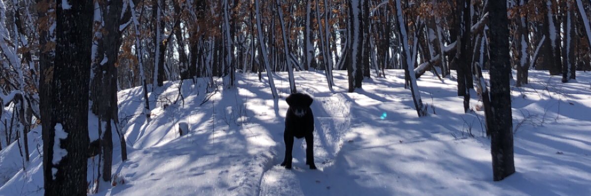 B5Reeves's profile banner image