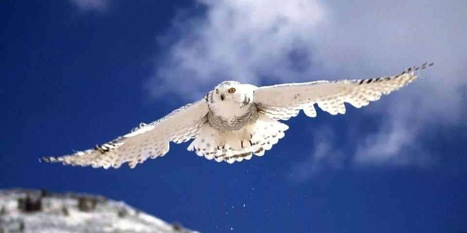 MagdDaniel's profile banner image