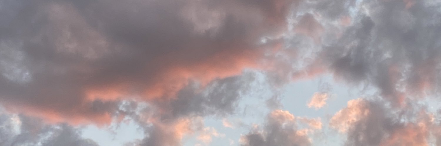 lexi__watts's profile banner image