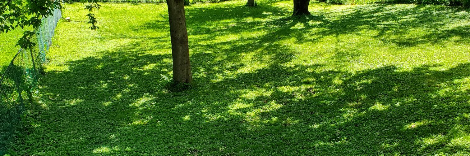 Queen ❤🧡💛💚💙💜🤎🖤🤍💯 banner