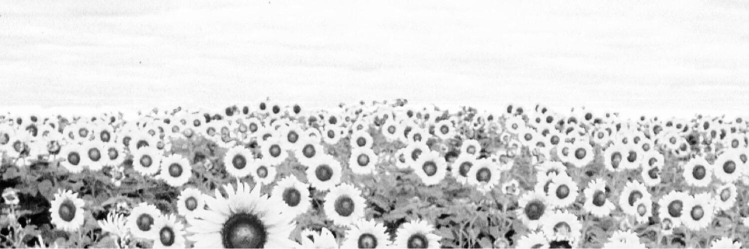argentsdylan's profile banner image