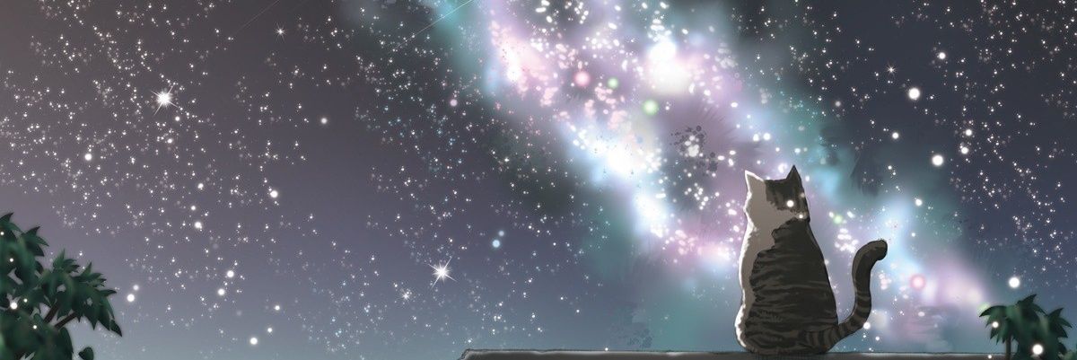 canul_camus's profile banner image
