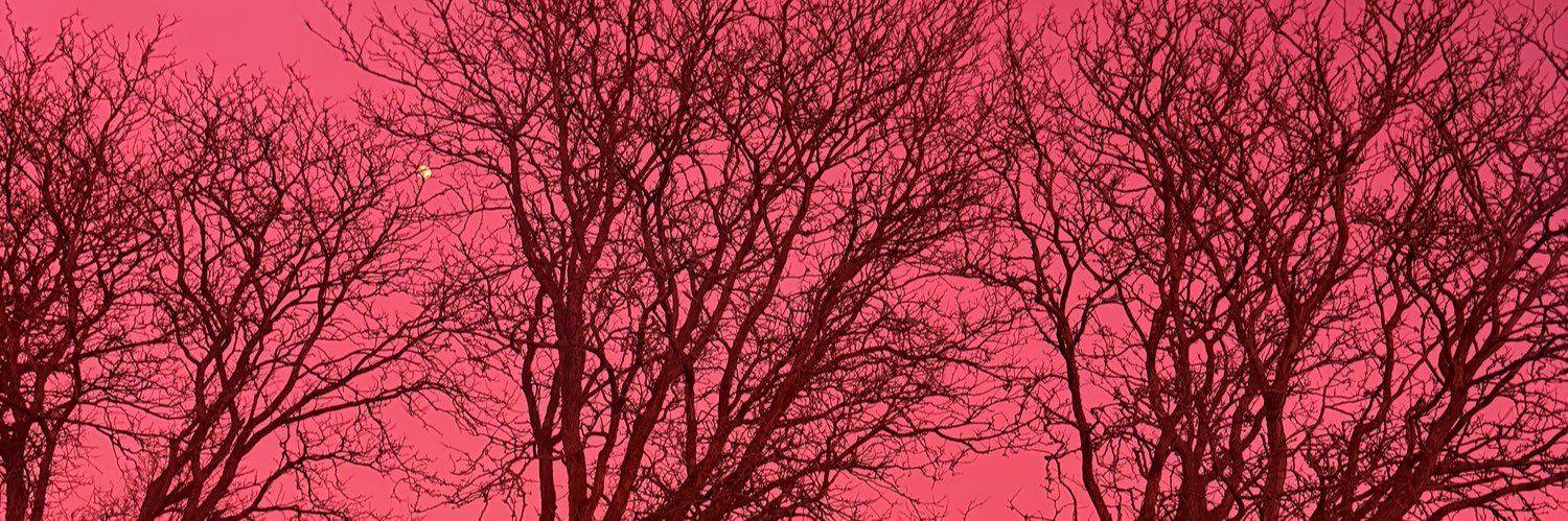 cproppolo's profile banner image