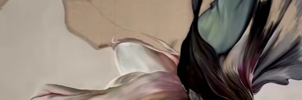 StephanieMoD's profile banner image