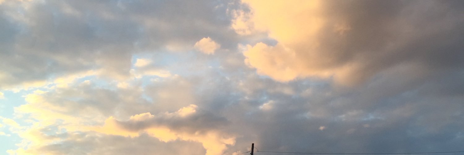 mariasmolyar191's profile banner image