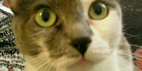 MissSadTruth's profile banner image