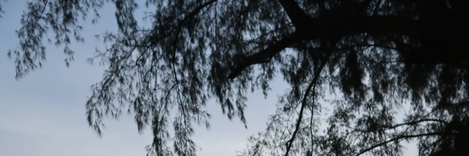 jedakors's profile banner image