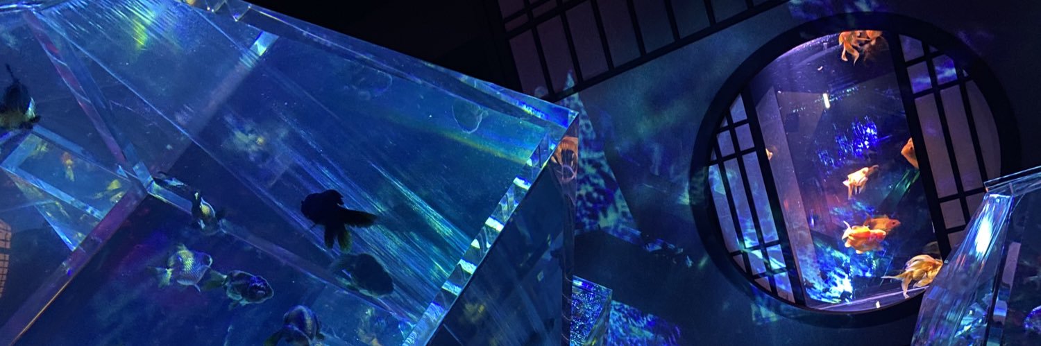 himitDanyan's profile banner image