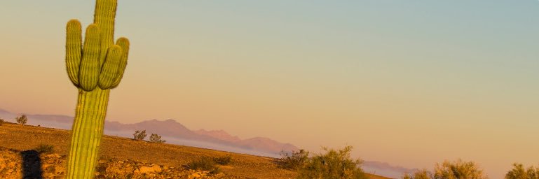 Wallickgg's profile banner image