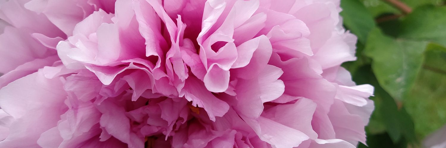 htcozenir's profile banner image
