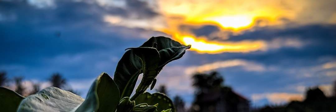 achfauzi24's profile banner image