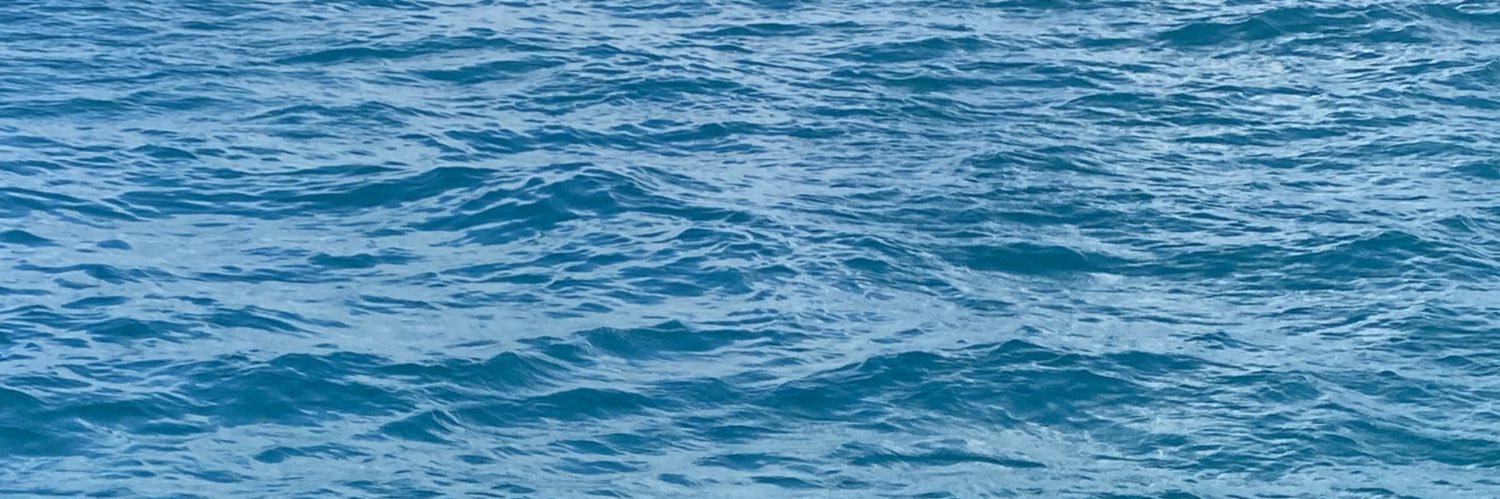 jilliandicker's profile banner image