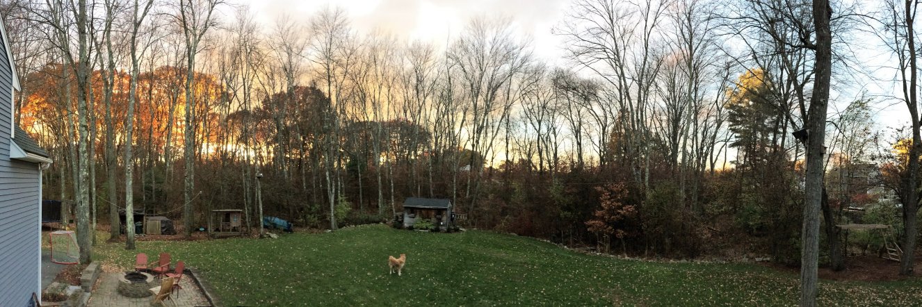 jborgman's profile banner image