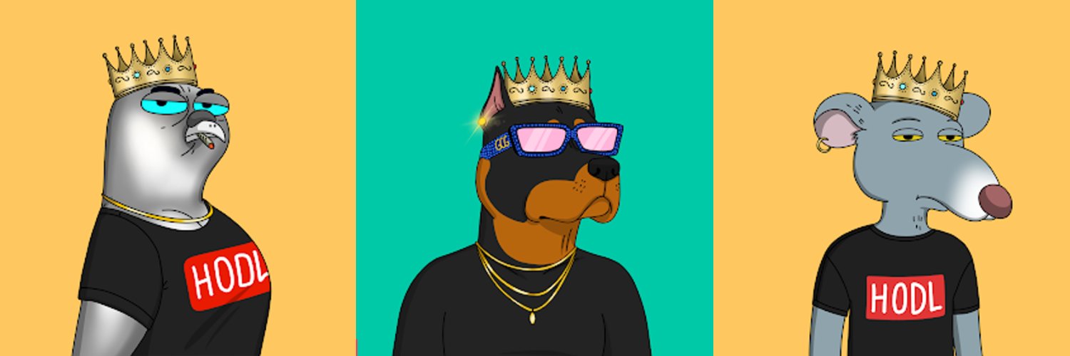 cfarudi's profile banner image
