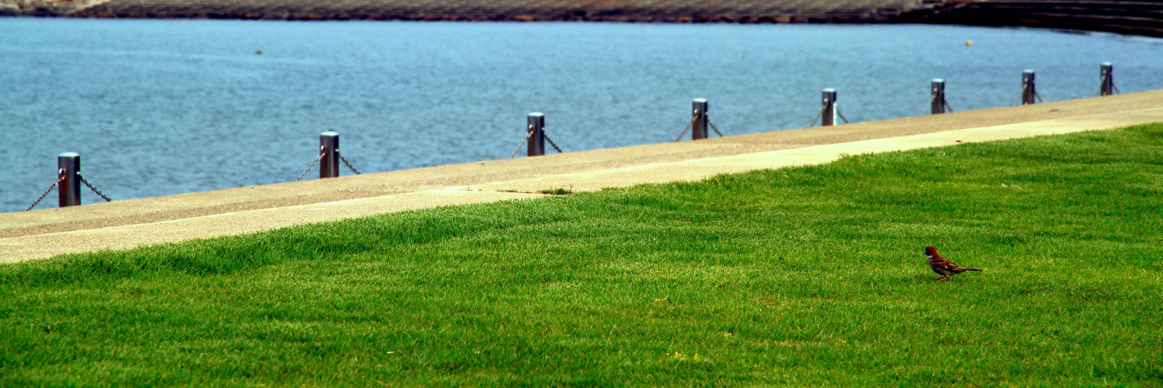 nb_saca's profile banner image