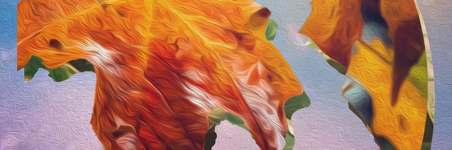 BarrettStaples's profile banner image