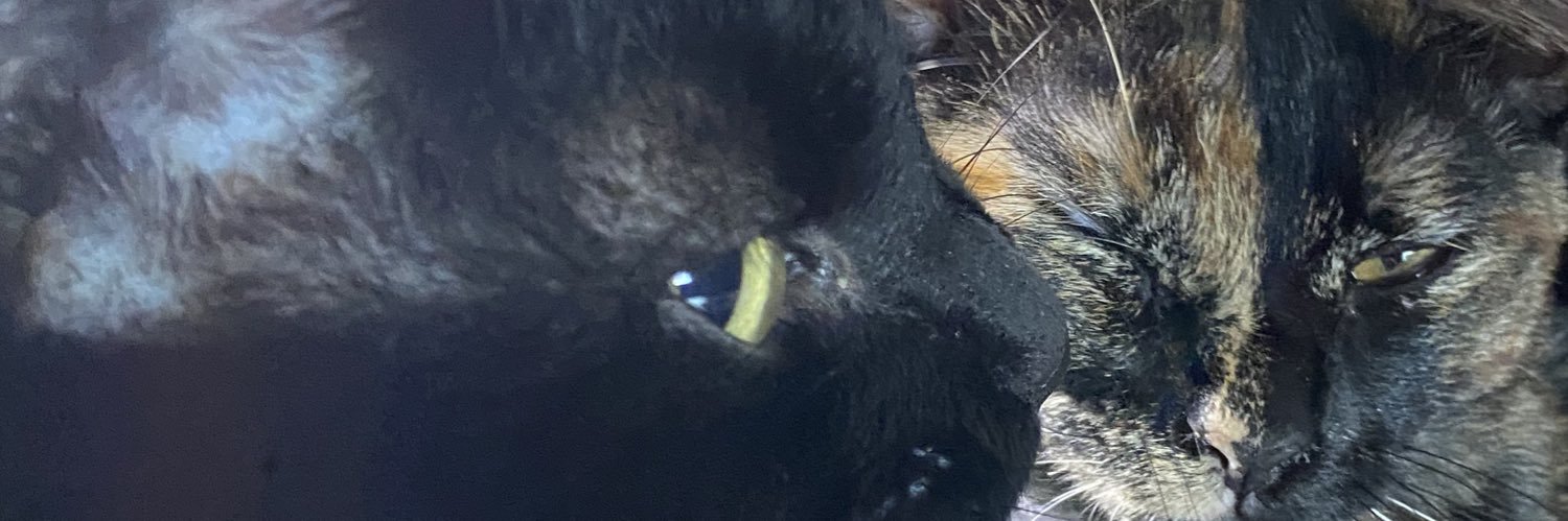 aguuiilluuzz's profile banner image