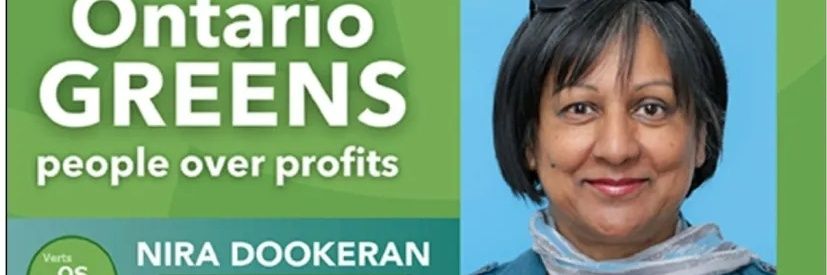 Ottawa South Greens banner
