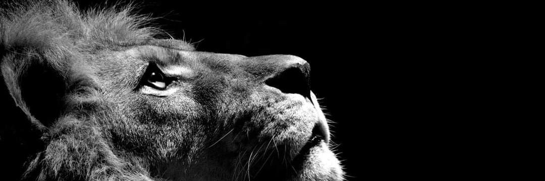 __Thiza's profile banner image
