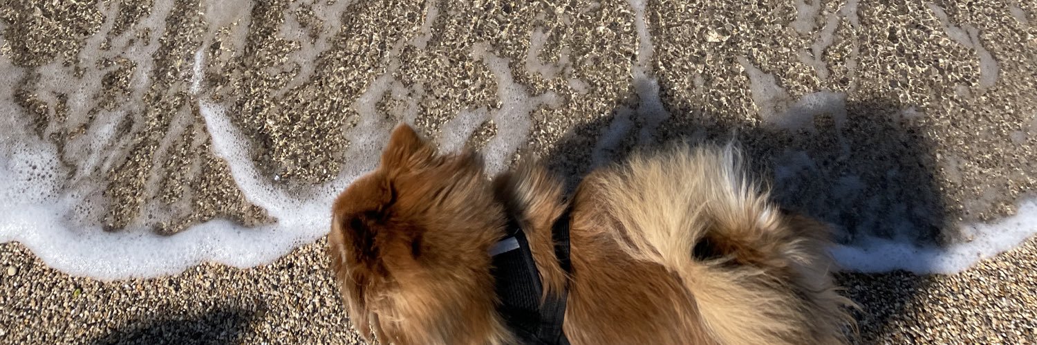 chloeelnn's profile banner image