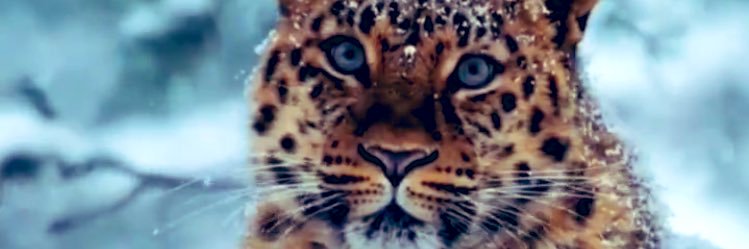 JamesBondLa's profile banner image