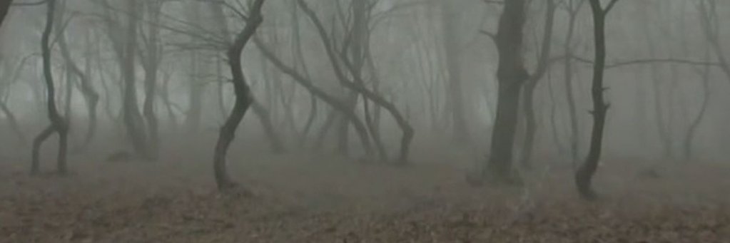 No context replies🇹🇩🇪🇺 banner