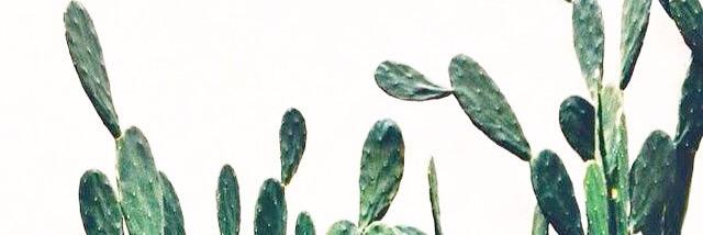 naseonin's profile banner image