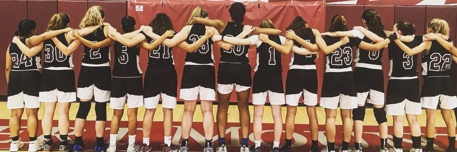 DMHSLadyBball's profile banner image