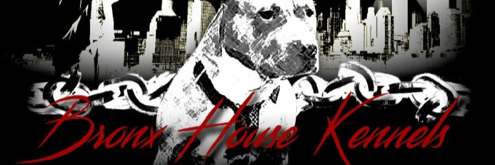 Supreme_D_Block's profile banner image