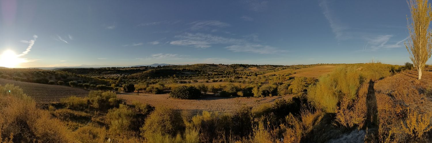 CarlesPerarnau's profile banner image