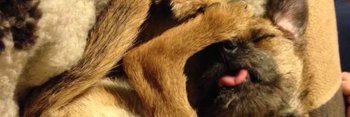 toddy_bt's profile banner image
