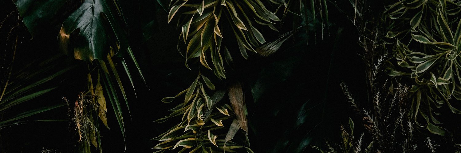 Riana Stellburg banner