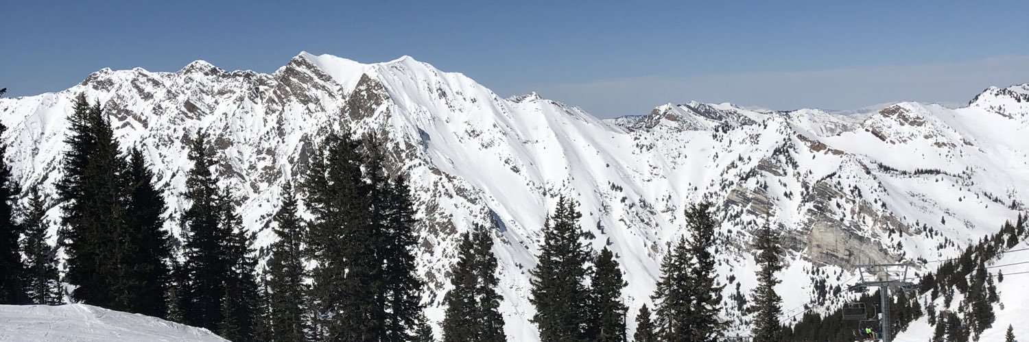 Patrick Gaughen banner