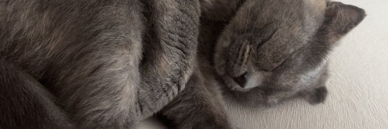 bsracln's profile banner image