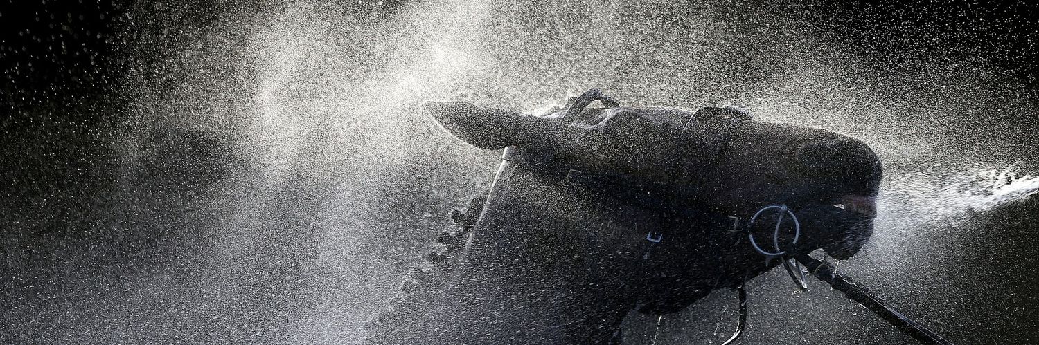 The Lemon Drop Kid banner