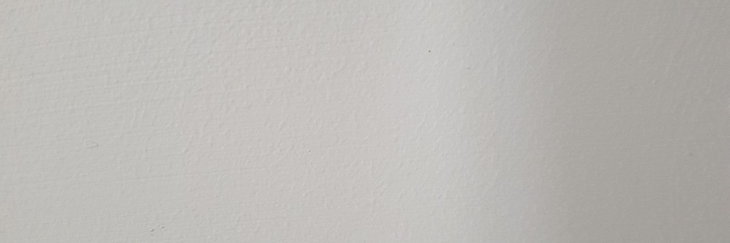 Debbieterras (she/her) banner