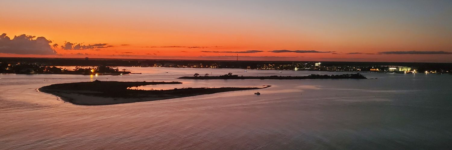 Nicholas Andrews banner