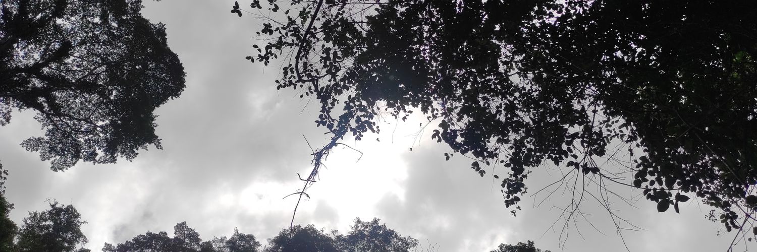everyonelikezme's profile banner image