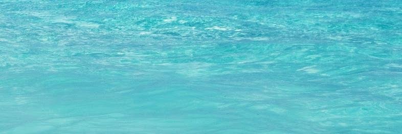 ShayleGupta's profile banner image