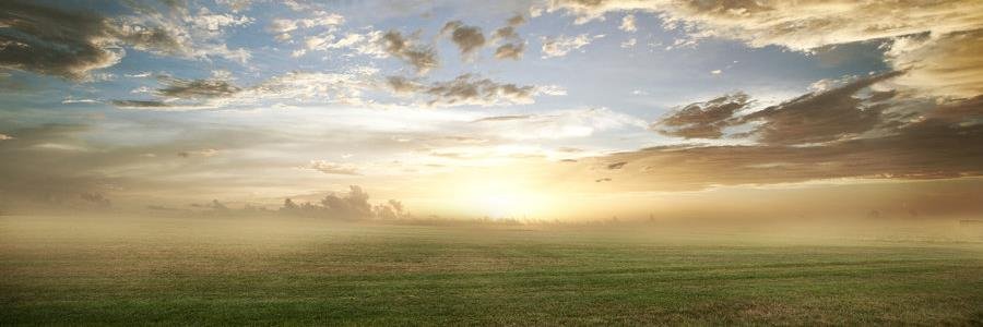 AnnegienB's profile banner image