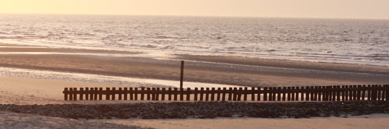 BehrMelissa's profile banner image