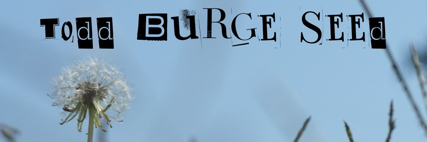 T O D D B U R G E - Left X banner