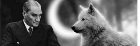Merthisar35's profile banner image