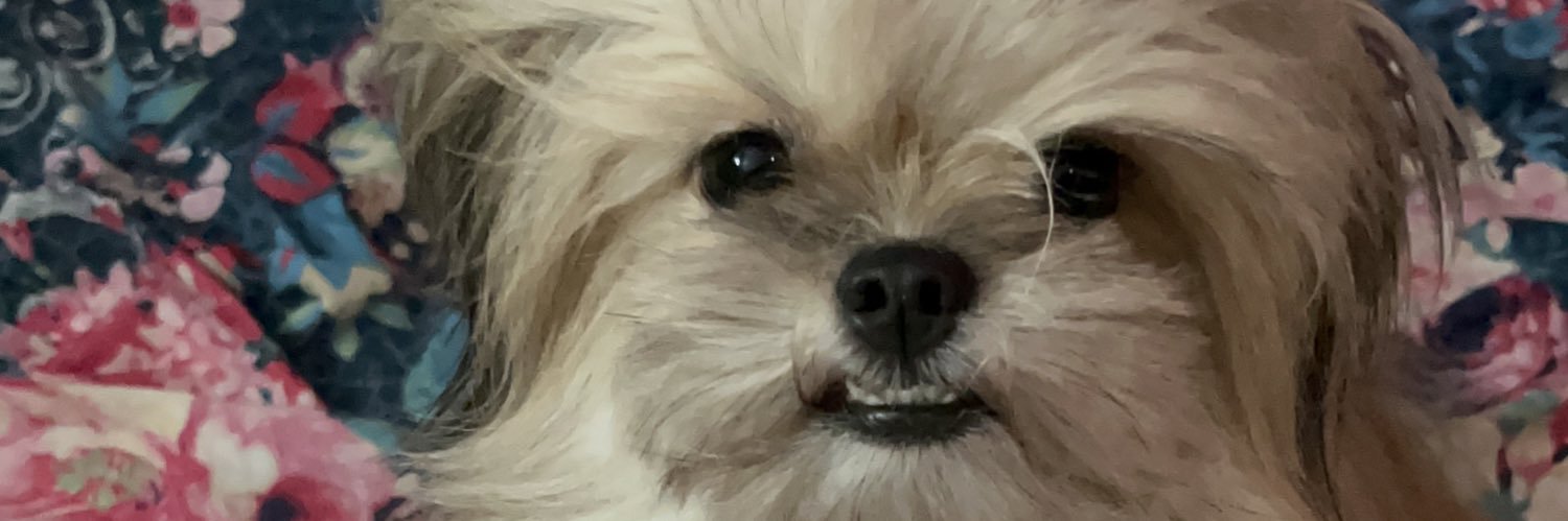 TheaAlexei's profile banner image