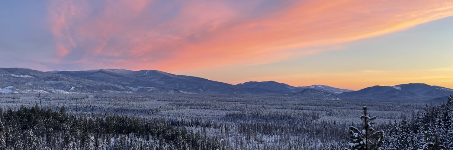 ncary29's profile banner image