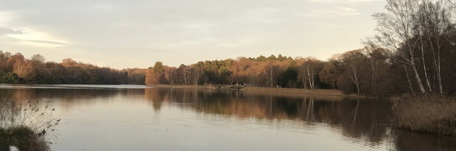 emma_lamden's profile banner image